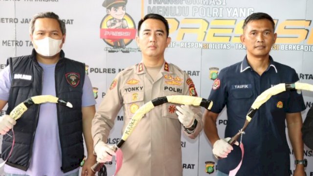 Polisi menunjukkan barang bukti senjata tajam yang digunakan para pelaku menghabisi nyawa korban pelajar AIS. (Ist)