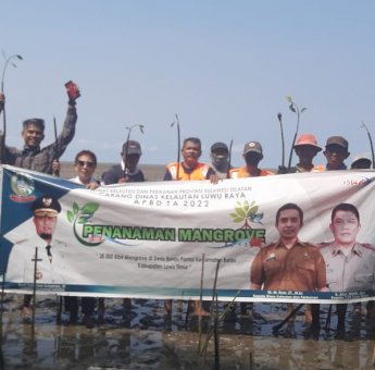 38 Ribu Pohon Mangrove Ditanam Dinas Kelautan dan Perikanan Sulsel di Lutim