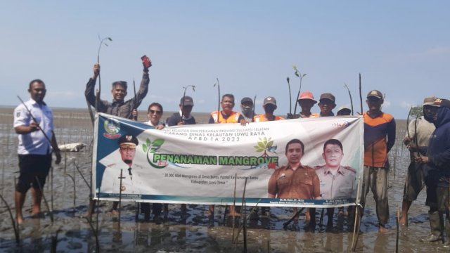 Rombongan petugas Dinas Kelautan dan Perikanan Sulsel saat melakukan penanaman bibit pohon mangrove di pesisir laut Kabupaten Luwu Timur. (Istimewa)