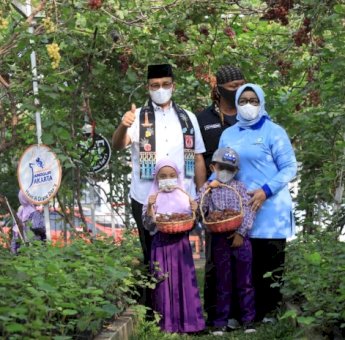 Apresiasi Inisiatif Warga, Gubernur Anies Baswedan Panen Anggur di Cilincing