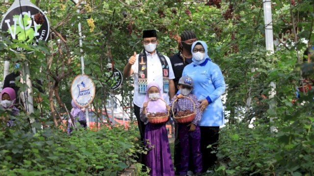 Gubernur DKI Jakarta Anies Baswedan bersama Isterinya sekaligus Ketua Tim Penggerak PKK DKI Jakarta Fery Farhati, saat memanen anggur di Jalan Cakung, Cilincing Raya, Jakarta Utara, Jumat (22/07/2022). (Istimewa)