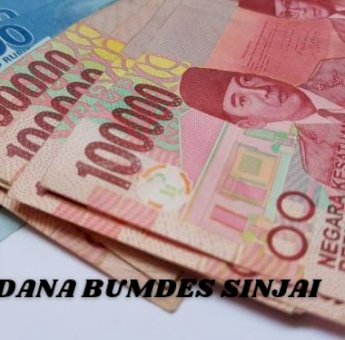 Audit Dana Bumdes, Inspektorat Sinjai Temukan Kejanggalan