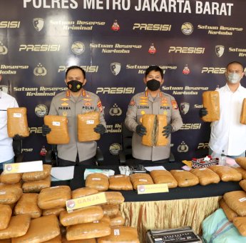 Polisi Amankan 137 Kilogram Ganja Siap Edar Lintas Provinsi, Dua Pelaku Dibekuk