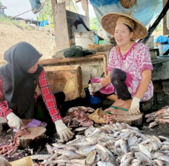 Musim Ikan Tawar, Warga Muara Muntai Kukar Kirim Puluhan Ton Ikan ke Jakarta Dalam Sehari