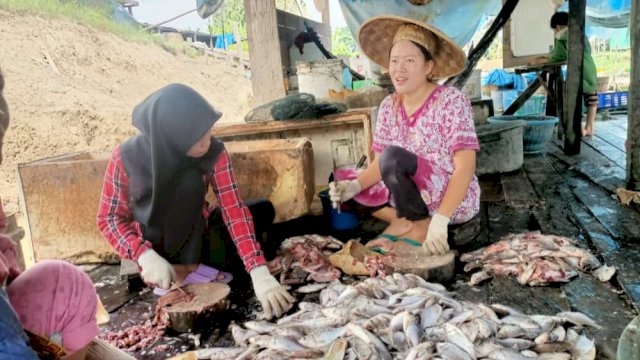 Masyarakat Desa Rebak Rinding, Kecamatan Muara Muntai, Kutai Kartanegara (Kukar) saat mengolah ikan tawar menjadi olahan ikan asin, Sabtu (30/07/2022). (Foto: Kurniawan/Republiknews co.id)