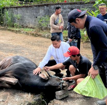 Yasir Mahmud Berkurban 6 Ekor Sapi, Bagikan ke Warga, Keluarga dan Karyawan PT SCI