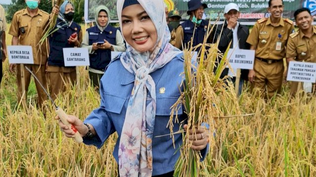 Ketua Fraksi PKS DPRD Sulsel yang baru, Isnayani. (Foto: Istimewa)