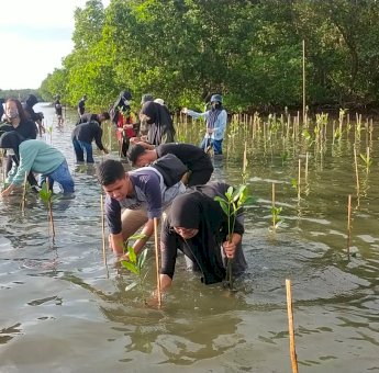 Program Gubernur Kembalikan Fungsi Mangrove, DKP Sulsel Tanam 10 Ribu Bibit di Borimasunggu Pangkep