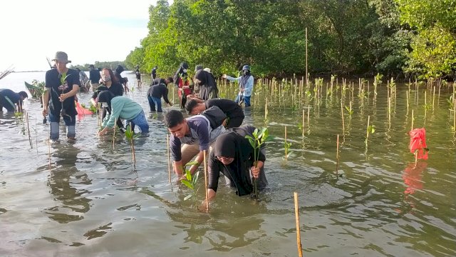 Penanaman Bibit Mangrov oleh Petugas Dinas Kelautan dan Perikanan Provinsi Sulsel di Pesisir Kabupaten Pangkep. (Istimewa)
