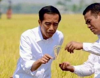 Gubernur Kalsel Ungkap Rahasia Andi Amran Sulaiman Mampu Wujudkan Indonesia Lumbung Pangan Dunia