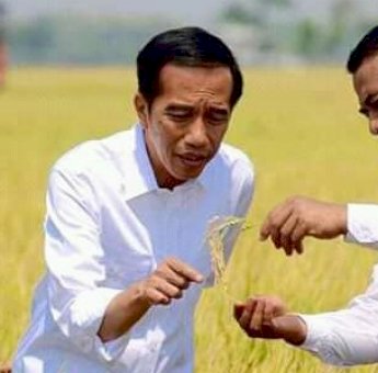 Gubernur Kalsel Ungkap Rahasia Andi Amran Sulaiman Mampu Wujudkan Indonesia Lumbung Pangan Dunia