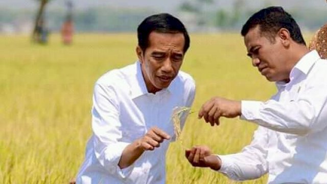 Andi Amran Sulaiman saat menjabat sebagai Menteri Pertanian RI 2014-2019 bersama Presiden Joko Widodo, meninjau lahan padi milik masyarakat. (Istimewa)