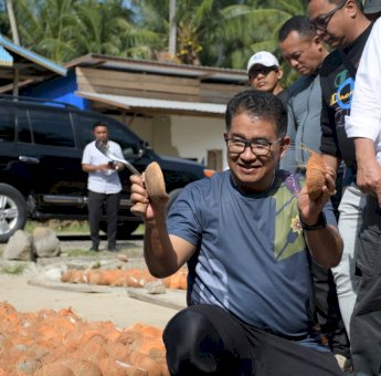 Dorong Pembakaran Tempurung Lebih Ramah Lingkungan, Pj Gubernur Sulbar Gandeng IPB