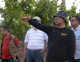 Akmal Sayangkan 50 Hektar Lahan di Polman Hanya Hasilkan Rp50 Juta per-Tahun