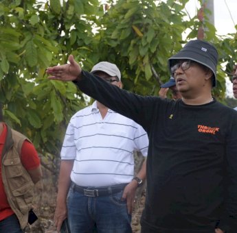 Akmal Sayangkan 50 Hektar Lahan di Polman Hanya Hasilkan Rp50 Juta per-Tahun