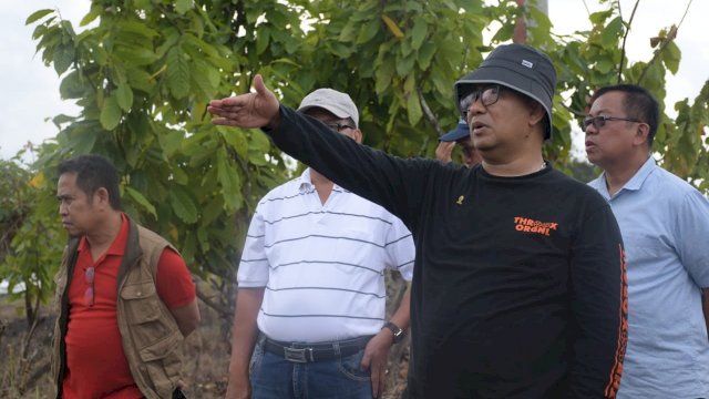 Pj. Gubernur Sulbar Akmal Malik Saat Meninjau Lahan seluas 50 Hektar di Desa Batupanga Daala, Kecamatan Luyo, Polewali Mandar, bersama Wakil Ketua DPRD Sulbar Abdul Rahim. (Istimewa)