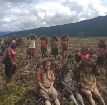 Hujan Es di Lanny Jaya Papua, Ratusan Warga Terancam Kelaparan, 4 Orang Meninggal Dunia