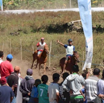 Hadiah Sapi, Wagub NTT Buka Lomba Pacuan Kuda di Ngada