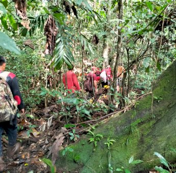 Sederet Cerita Aneh, 7 Orang Tersesat Saat Cari Keluarga Hilang Misterius di Hutan
