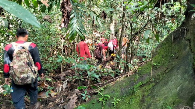 Tim Basarnas dan keluarga saat mencari Makpong di dalam hutan (Istimewa)