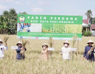Tingkatkan Produktivitas, Petani di Gowa Mulai Gunakan Pupuk Organik