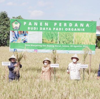 Tingkatkan Produktivitas, Petani di Gowa Mulai Gunakan Pupuk Organik