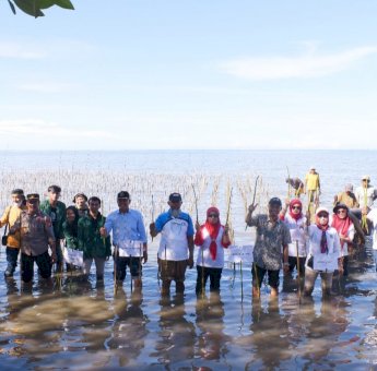 Rawat Ekosistem, CDK Bosowasi Tanam 38 Ribu Batang Mangrove di Pancaitana Bone