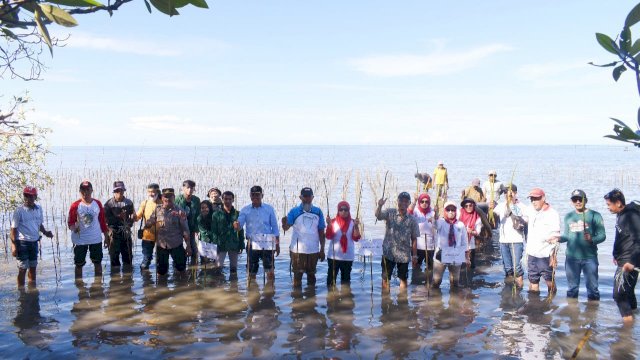 Penanaman 38 ribu bibit Mangrove di Kelurahan Pancaitana, Kabupaten Bone, Kamis (11/08/2022). (Istimewa)