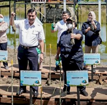 Program Prioritas Gubernur, DKP Sulsel Telah Tanam 1,7 Juta Pohon Mangrove