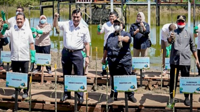 Program Prioritas Gubernur, DKP Sulsel Telah Tanam 1,7 Juta Pohon Mangrove