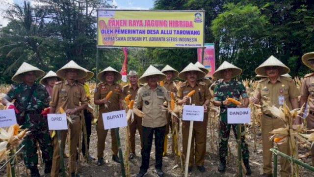 Bupati Jeneponto, Iksan Iskandar bersama petani saat melaksanakan panen raya Jagung di Tarowang, Senin (29/08/2022). (Ist)