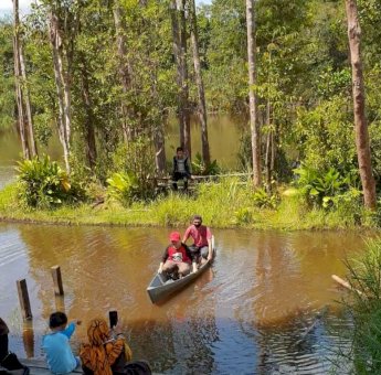 Mitos Pulau Bergerak di Kalbar yang Viral dari Masyarakat Setempat