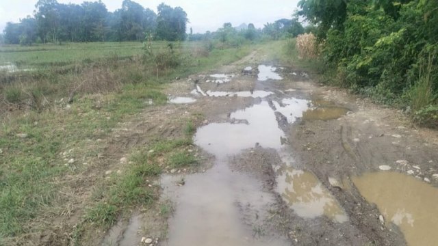 Akses jalan warga penghubung Dusun Sumbernyiur dan Dusun Langgiri Desa Lampenai, Kecamatan Wotu, Luwu Timur rusak parah.