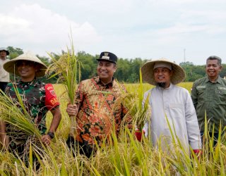 BPS Sebut Produksi Padi Sulsel Tahun 2022 Naik Jadi 5.431.021 Ton, Imran Jausi: Dipicu Benih Mandiri