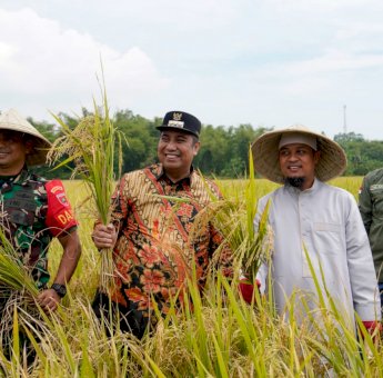 Program Mandiri Benih oleh Gubernur Andi Sudirman, Bupati Maros : Hasilnya Luar Biasa, Membantu Petani