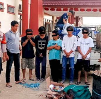 Polisi Gerebek Tempat Judi Sabung Ayam di Tobadak, 5 Pelaku Ditangkap