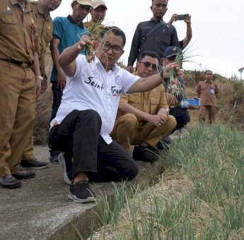 Topang Kebutuhan IKN, Pj Gubernur Persiapkan Majene Jadi Pusat Pengembangan Food Estate
