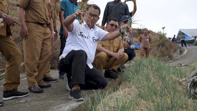 Pj Gubernur Sulbar , Akmal Malik bersama Bupati Majene Andi Achmad Syukri Tammalele meninjau lahan pengembangan Food Estate di Kelurahan Tande Timur, Kecamatan Banggae Timur Majene, Selasa, 30 Agustus 2022.(Istimewa)