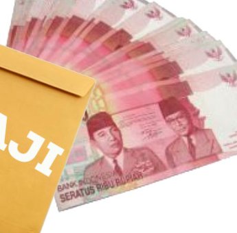 Miris, Gaji Honorer DLH Kabupaten Muna Dipangkas dan Dua Bulan Belum Dibayar