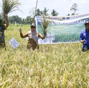 Dari Lahan Tidur, Kini Warga Desa Kariango Nikmati Panen Perdana