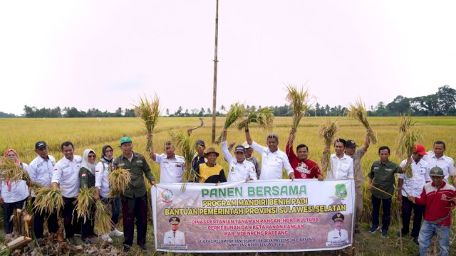 Bantuan Gubernur Sulsel Andi Sudirman Sulaiman, untuk para petani melalui program bantuan Mandiri Benih Padi Tahun 2022 sudah dirasakan oleh masyarakat di Kabupaten Sidrap. (Istimewa)
