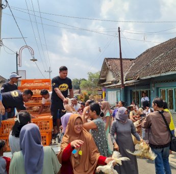 Harga Daging Ayam di Peternak Anjlok, KPUN Bersama Peternak Broiler Bagi-Bagi Ayam Gratis di Malang
