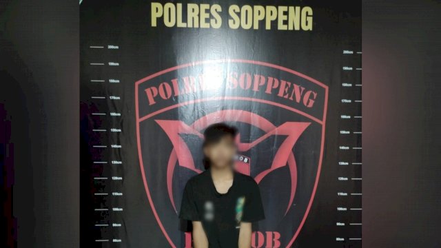 Terduga pelaku pencurian inisial EG (20) ditahan di Polres Soppeng, Minggu (11/09/2022). (Istimewa)