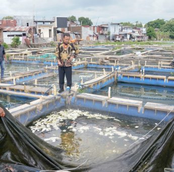 Gubernur Andi Sudirman Kunjungi Usaha Budidaya Perikanan Keramba Apung di Balang Baru