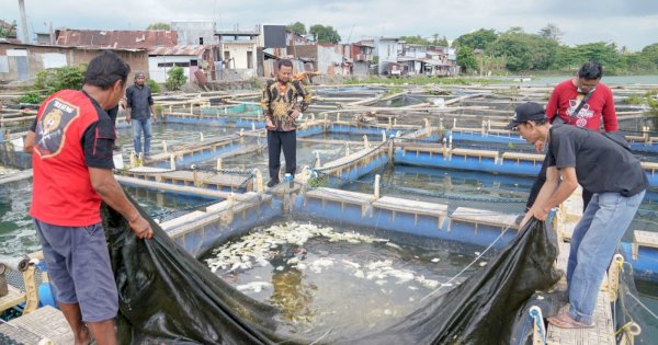 Gubernur Andi Sudirman Kunjungi Usaha Budidaya Perikanan Keramba Apung di Balang Baru