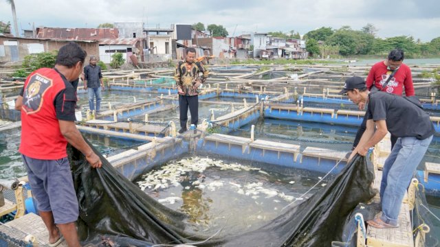 Gubernur Sulsel Andi Sudirman Sulaiman (tengah), saat meninjau lokasi keramba apung di Balang Baru, Kota Makassar, Minggu (02/10/2022). (Istimewa)