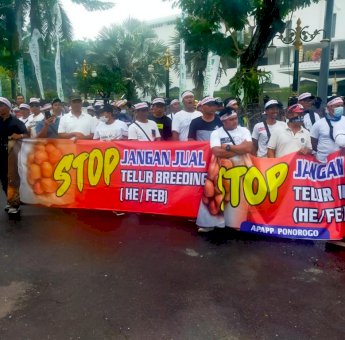 Peternak Unggas Mandiri UMKM Demo di Kantor Gubernur Jawa Timur