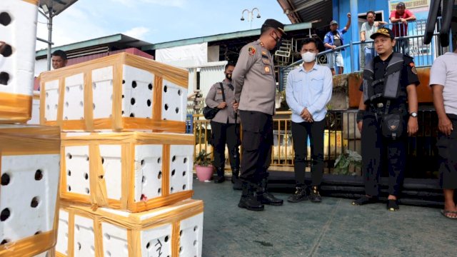 73 boks penyelundupan kepiting yang berhasil digagalkan Polres Bulungan. (Istimewa)