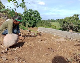 Lingkar Hijau Parepare Reboisasi Gunung Tolong, Target Tanaman 1000 Pohon