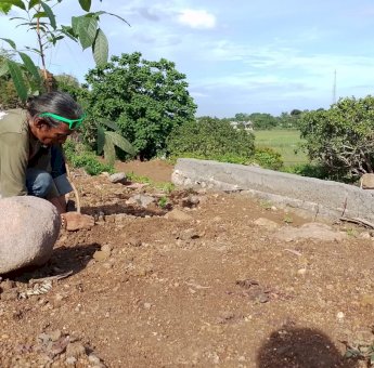 Lingkar Hijau Parepare Reboisasi Gunung Tolong, Target Tanaman 1000 Pohon